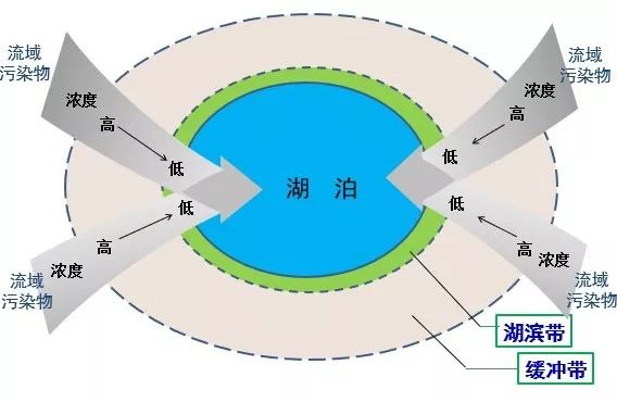 生态·案例|湖泊缓冲带是保护湖泊健康的有效措施 (图2)