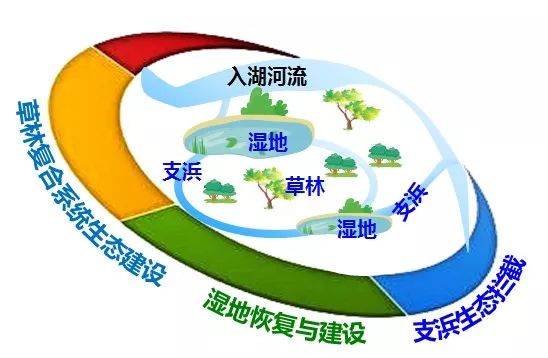 生态·案例|湖泊缓冲带是保护湖泊健康的有效措施 (图8)