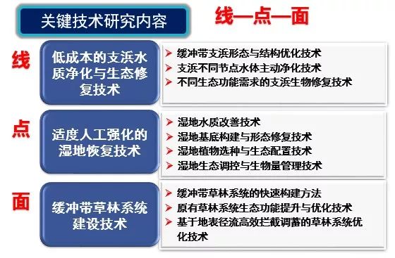 生态·案例|湖泊缓冲带是保护湖泊健康的有效措施 (图9)